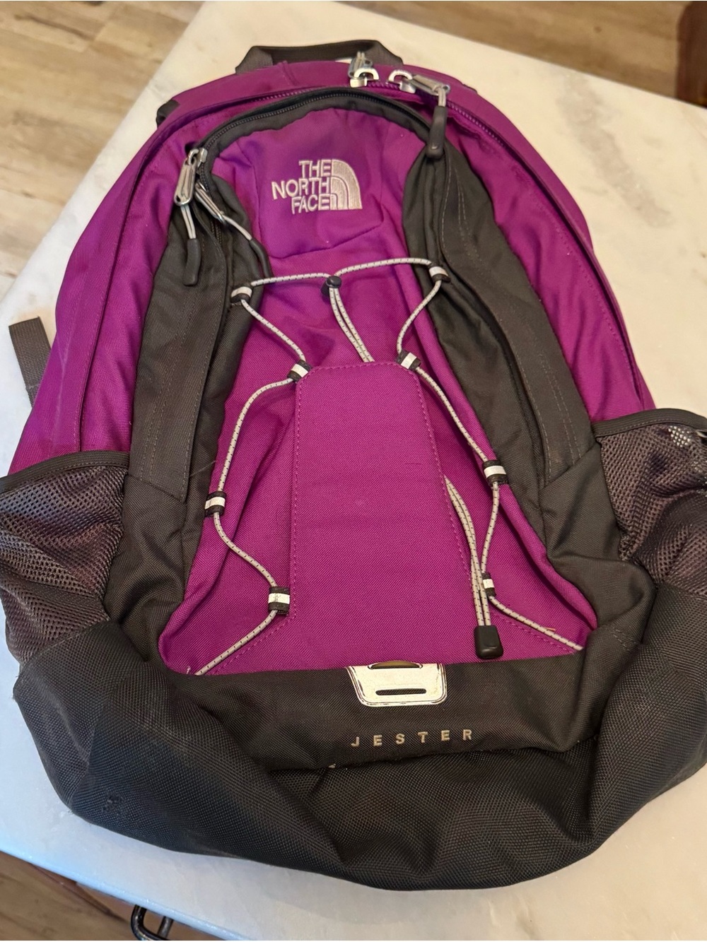 The North Face Jester Backpack in Purple and Black $25